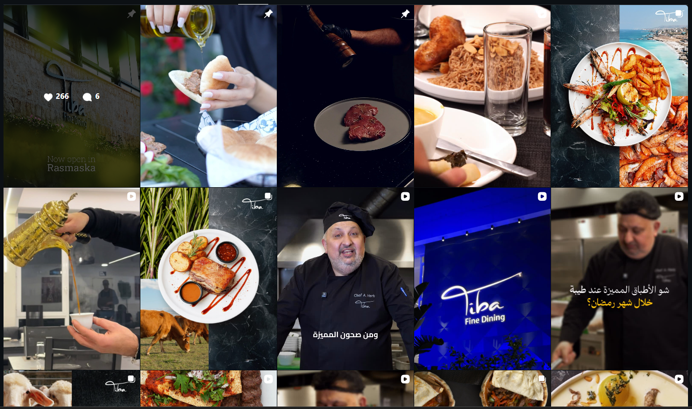 Tiba social media grid preview